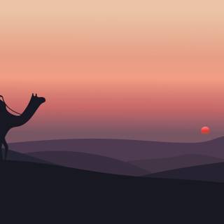 Camel 8k wallpaper