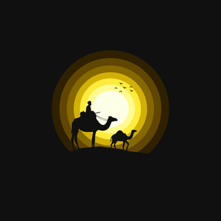 Camel 8k wallpaper