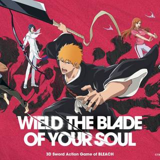 Bleach: Soul Resonance wallpaper