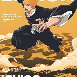 Bleach: Soul Resonance wallpaper