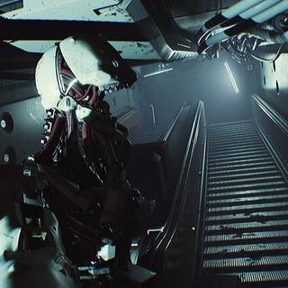 Routine game wallpaper