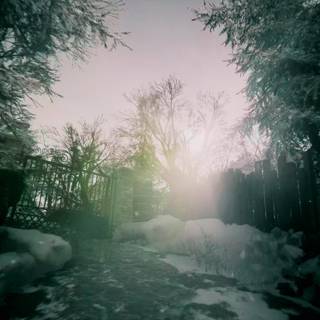 She's Leaving wallpaper