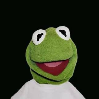 Drippy Kermit wallpaper