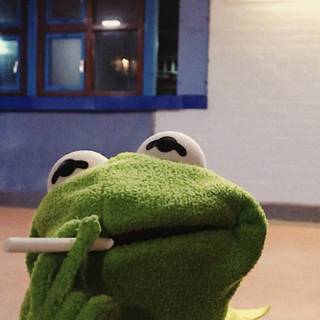 Drippy Kermit wallpaper