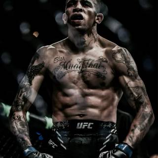 Carlos Prates wallpaper