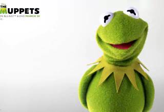 Drippy Kermit wallpaper