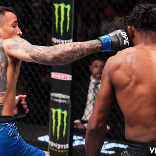 Carlos Prates wallpaper