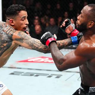 Carlos Prates wallpaper