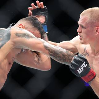 Carlos Prates wallpaper