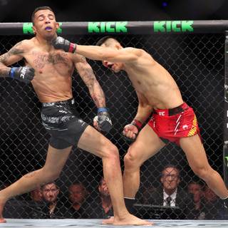 Carlos Prates wallpaper