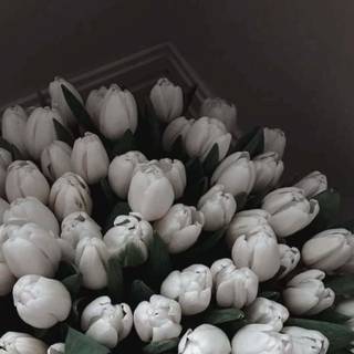 Tulip bouquet wallpaper