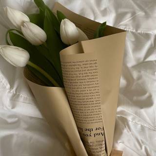 Tulip bouquet wallpaper