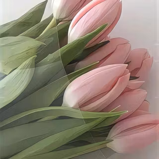 Tulip bouquet wallpaper