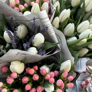 Tulip bouquet wallpaper