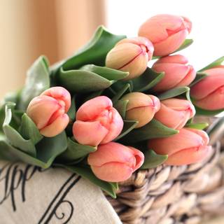 Tulip bouquet wallpaper