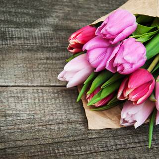 Tulip bouquet wallpaper