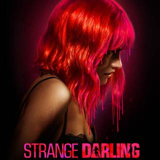 Strange Darling wallpaper