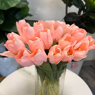 Tulip bouquet wallpaper