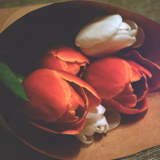 Tulip bouquet wallpaper