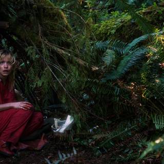 Strange Darling wallpaper