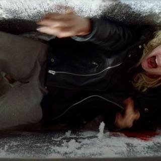 Strange Darling wallpaper