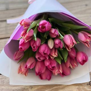 Tulip bouquet wallpaper