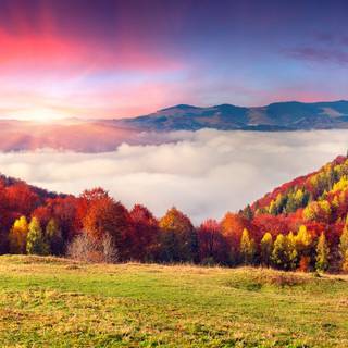 Autumn cloud wallpaper