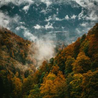 Autumn cloud wallpaper