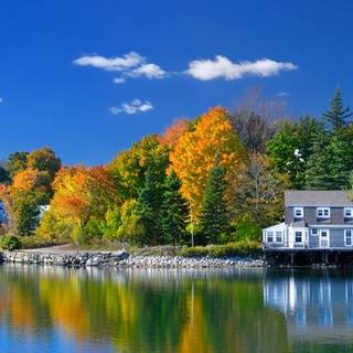 Autumn cabin lake wallpaper