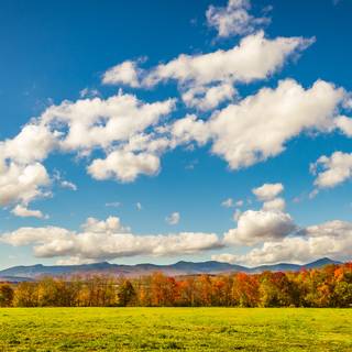 Autumn cloud wallpaper