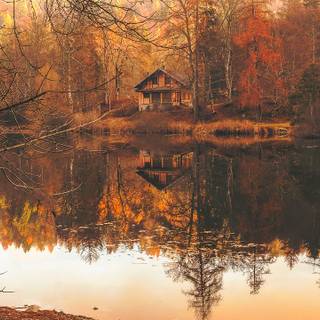 Autumn cabin lake wallpaper