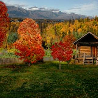Autumn landscape cabin wallpaper