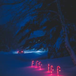 Dark winter vertical wallpaper