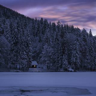 Dark winter vertical wallpaper