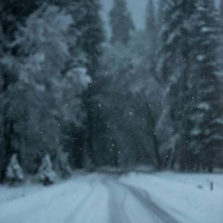 Dark winter vertical wallpaper