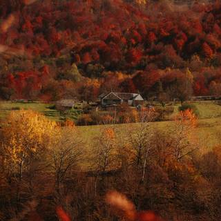 Autumn landscape cabin wallpaper