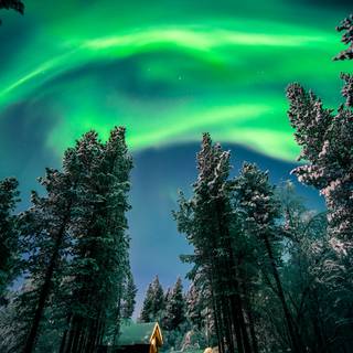 Dark winter vertical wallpaper