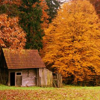Autumn landscape cabin wallpaper