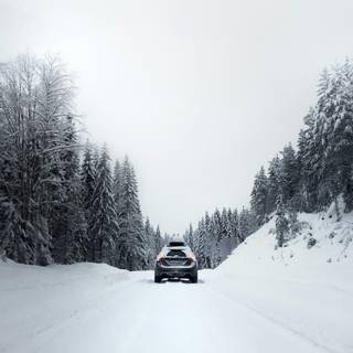 Winter cars 4k wallpaper