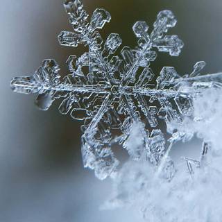 Aesthetic winter mobile wallpaper