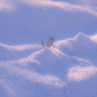 Aesthetic winter mobile wallpaper