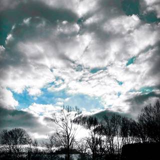 Dark winter vertical wallpaper