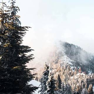 Aesthetic winter mobile wallpaper