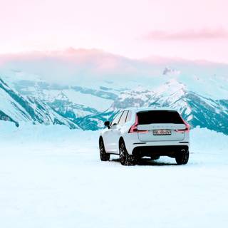 Winter cars 4k wallpaper