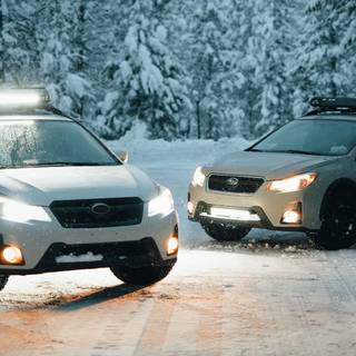 Winter cars 4k wallpaper