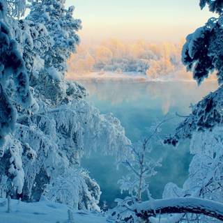 Winter light blue wallpaper