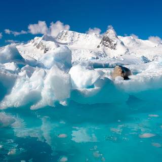 Winter blue computer wallpaper