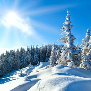 Winter blue computer wallpaper