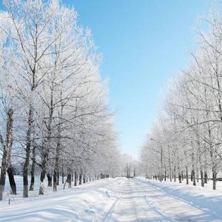 Winter blue computer wallpaper