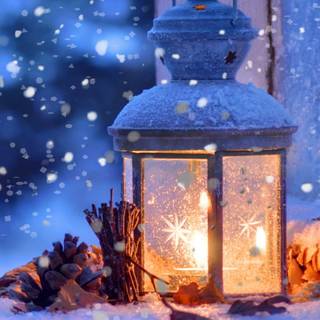 Winter light blue wallpaper